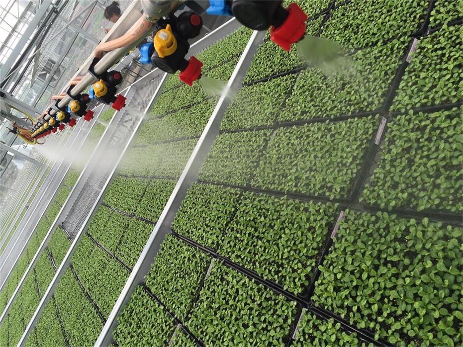 成都節水灌溉解決方案